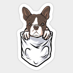 dog pocket Sticker